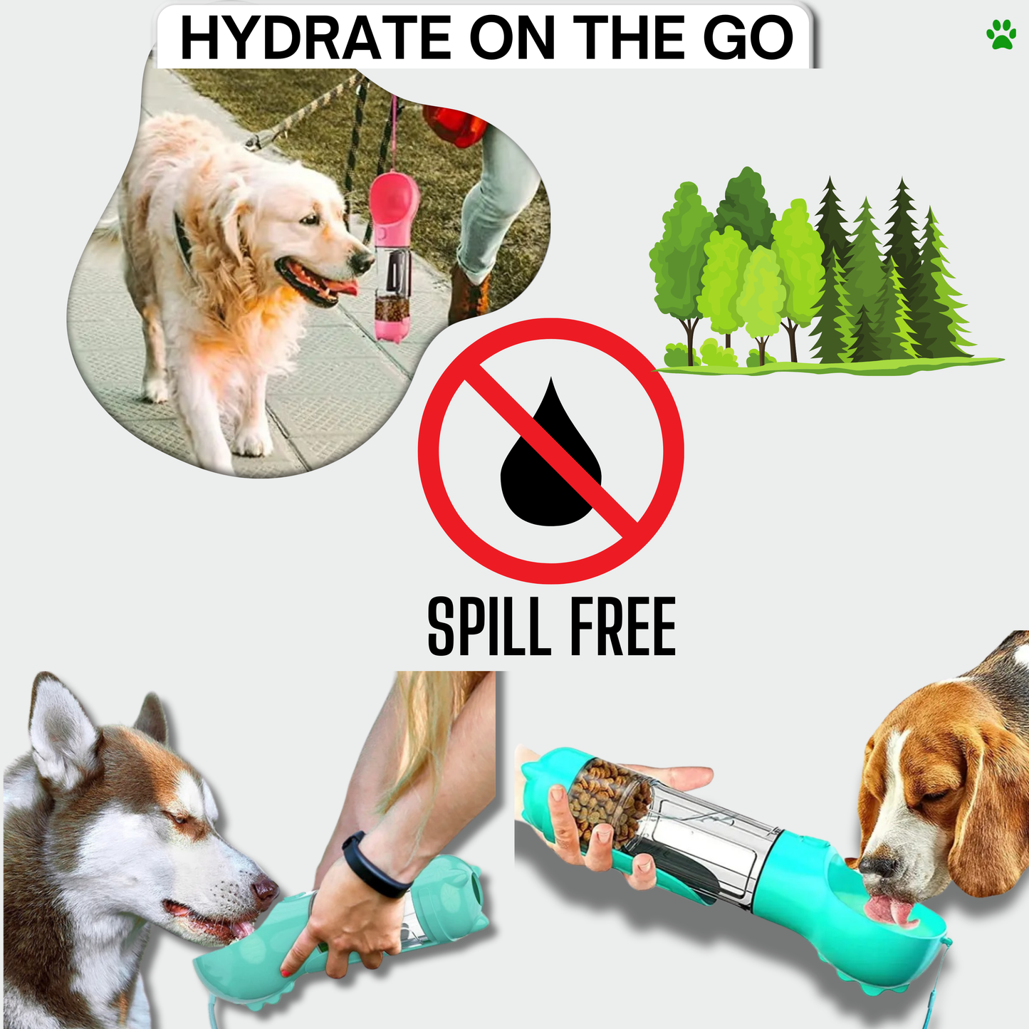 3 in 1 Leak-Proof Pet Feeder